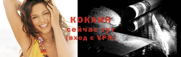 шишки Тобольск