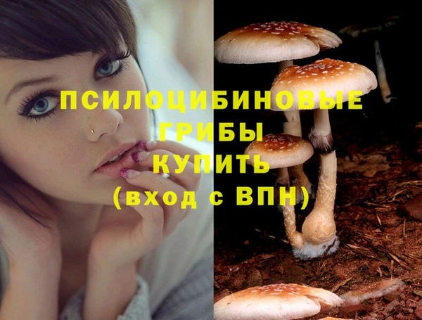 spice Вязьма
