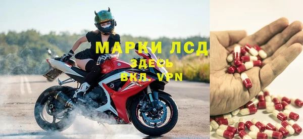 spice Вязьма
